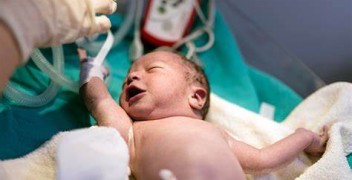 newborn